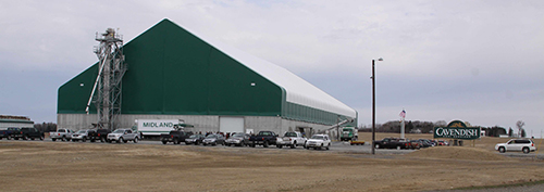 Cavendish Plant Opening